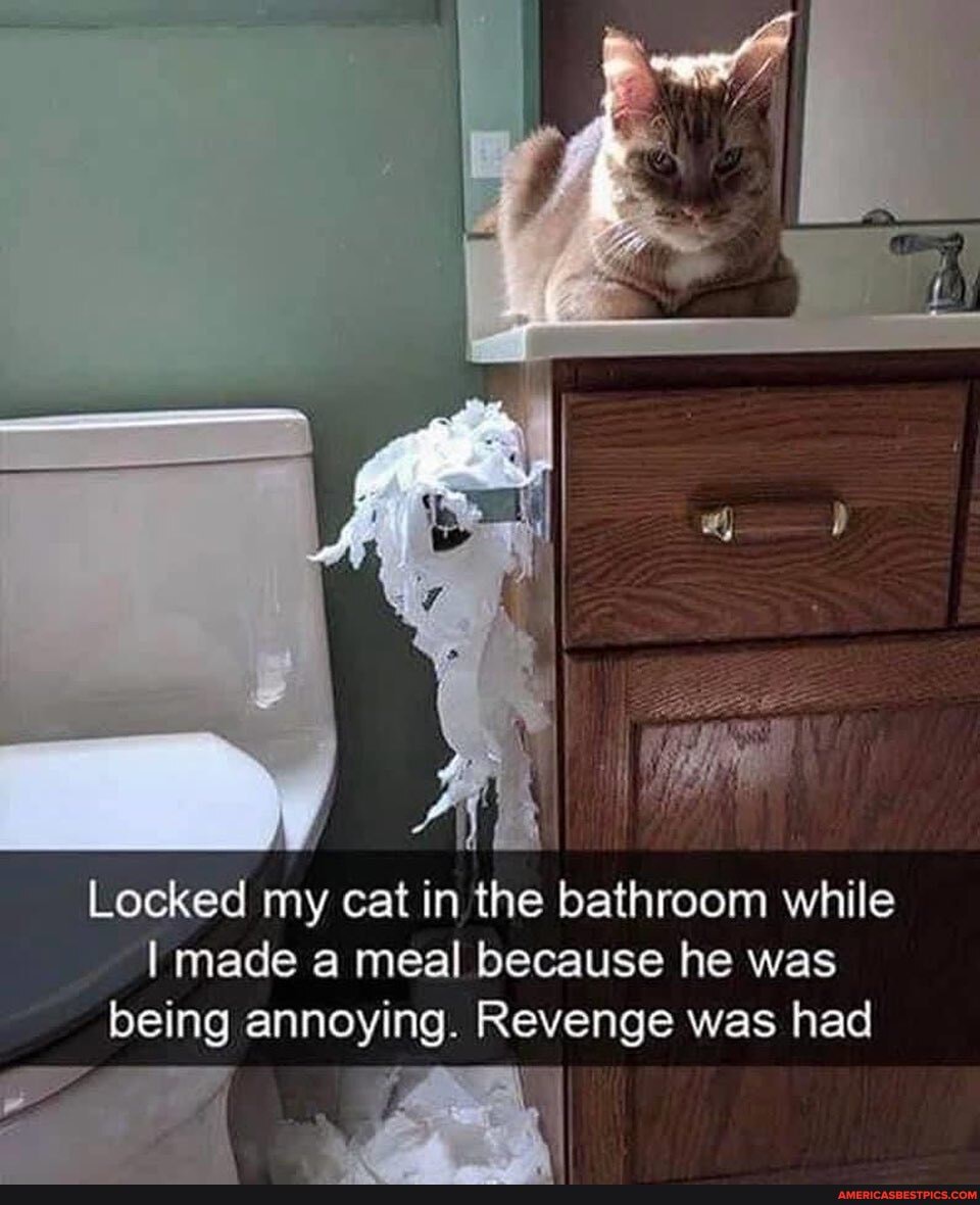 Locked my cat in the bathroom while
I made a meal because he was being annoying. Revenge was had