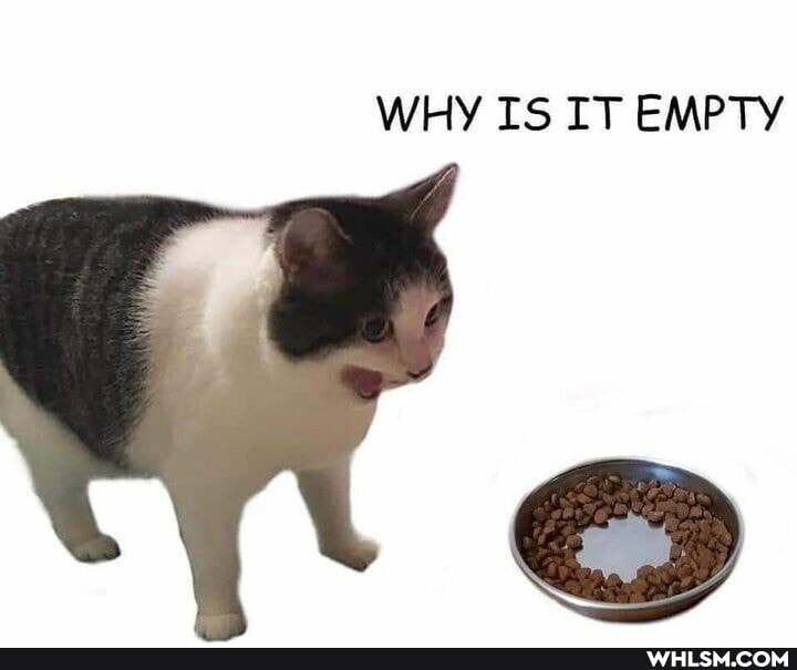 WHY IS IT EMPTY