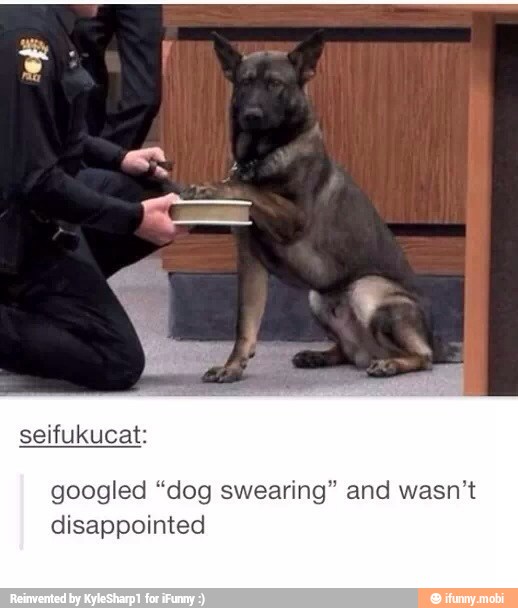 seifukucat:
googled "dog swearing" and wasn't
disappointed
