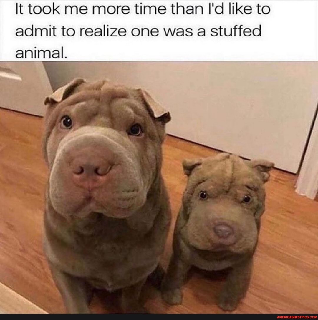 It took me more time than I'd like to admit to realize one was a stuffed animal.