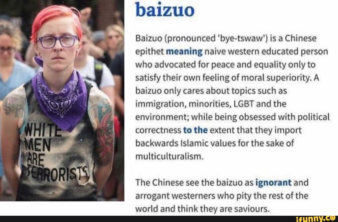 Baizuo (pronounced 'bye-tswaw') is a Chinese epithet meaning naive