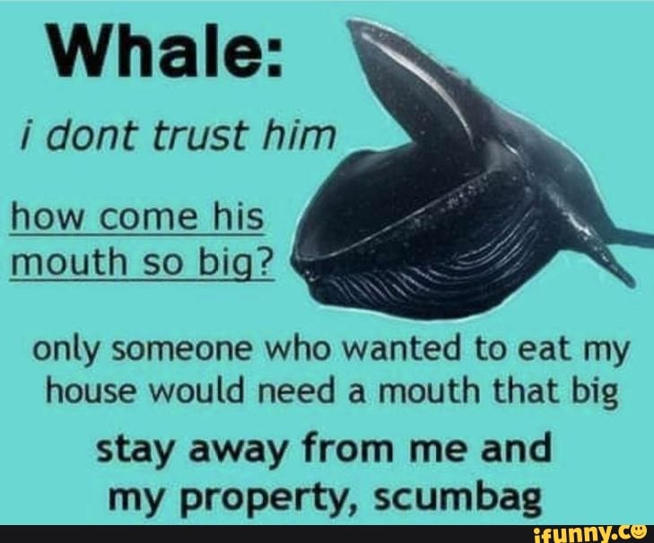 Whale:
i dont trust him
how come his mouth so big?
only someone who wanted to eat my house would need a mouth that big
stay away from me and my property, scumbag