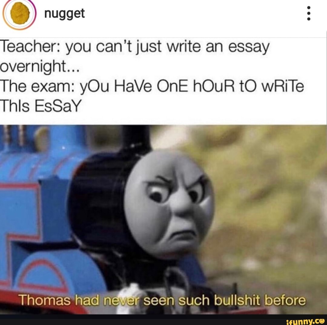 you can't write an essay overnight meme