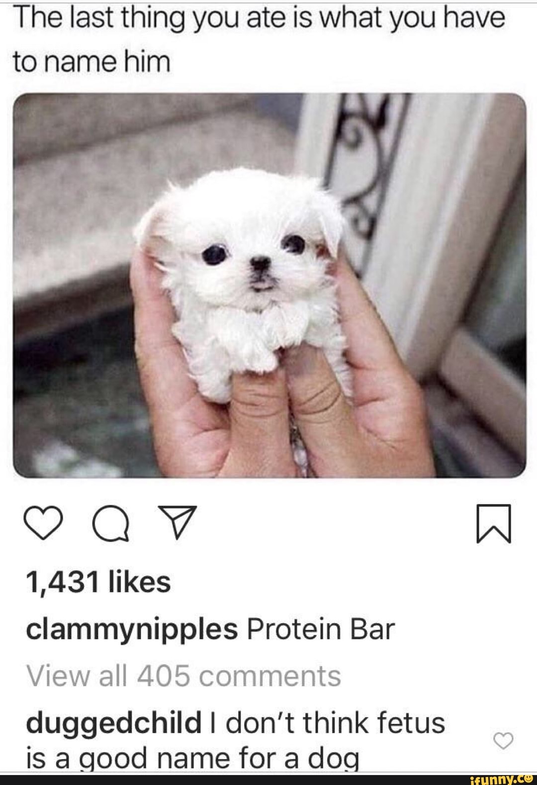 The Last Thing You Ate Is What You Have To Name Him 1 431 Likes 