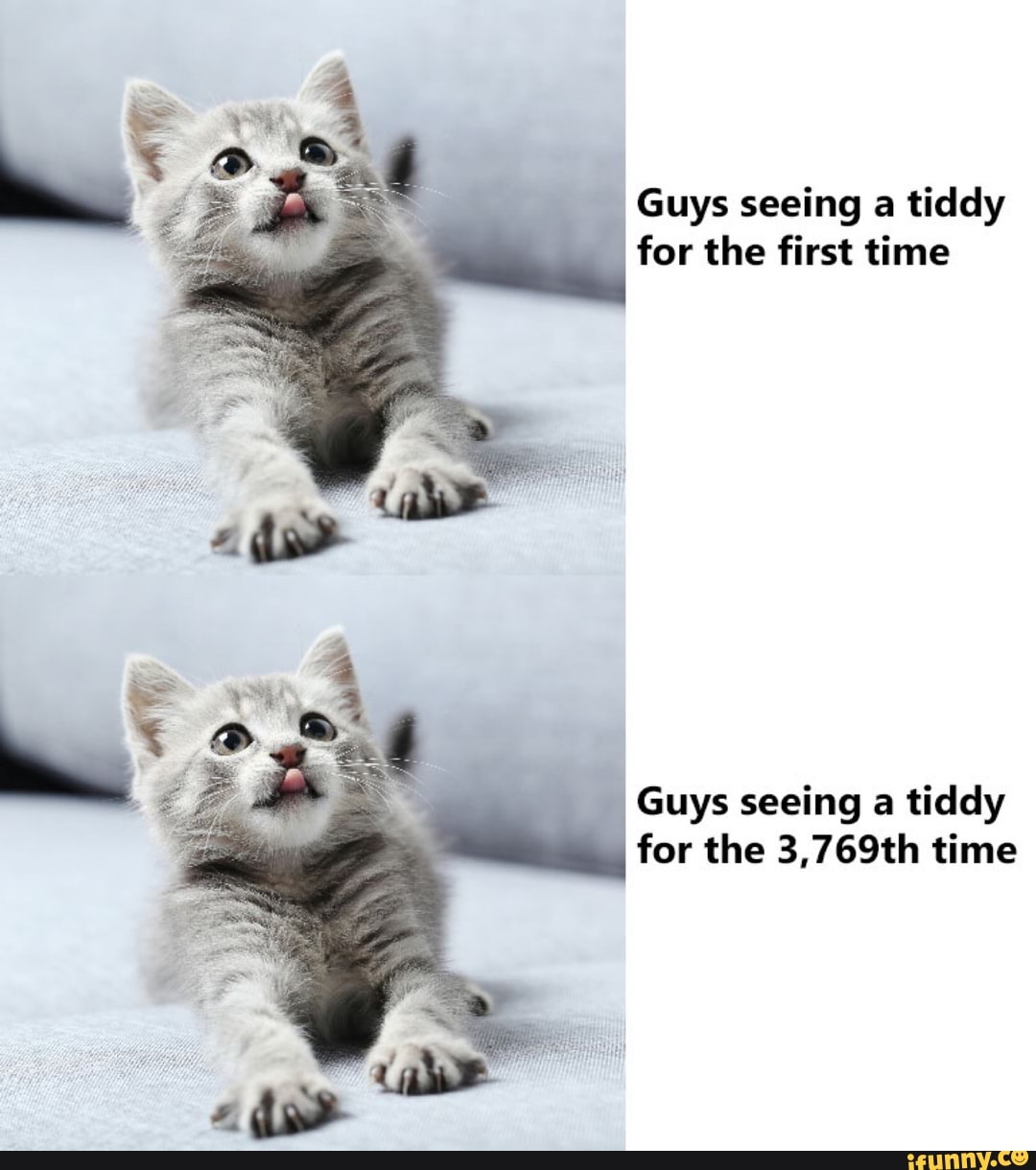 Guys seeing a tiddy
for the first time
Guys seeing a tiddy
for the 3,769th time