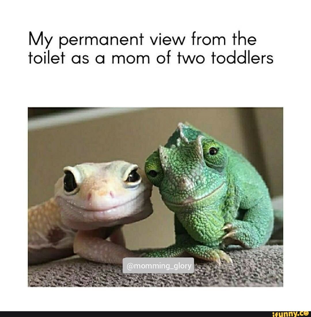 My permanent view from the toilet as a mom of two toddlers
@momming_glory