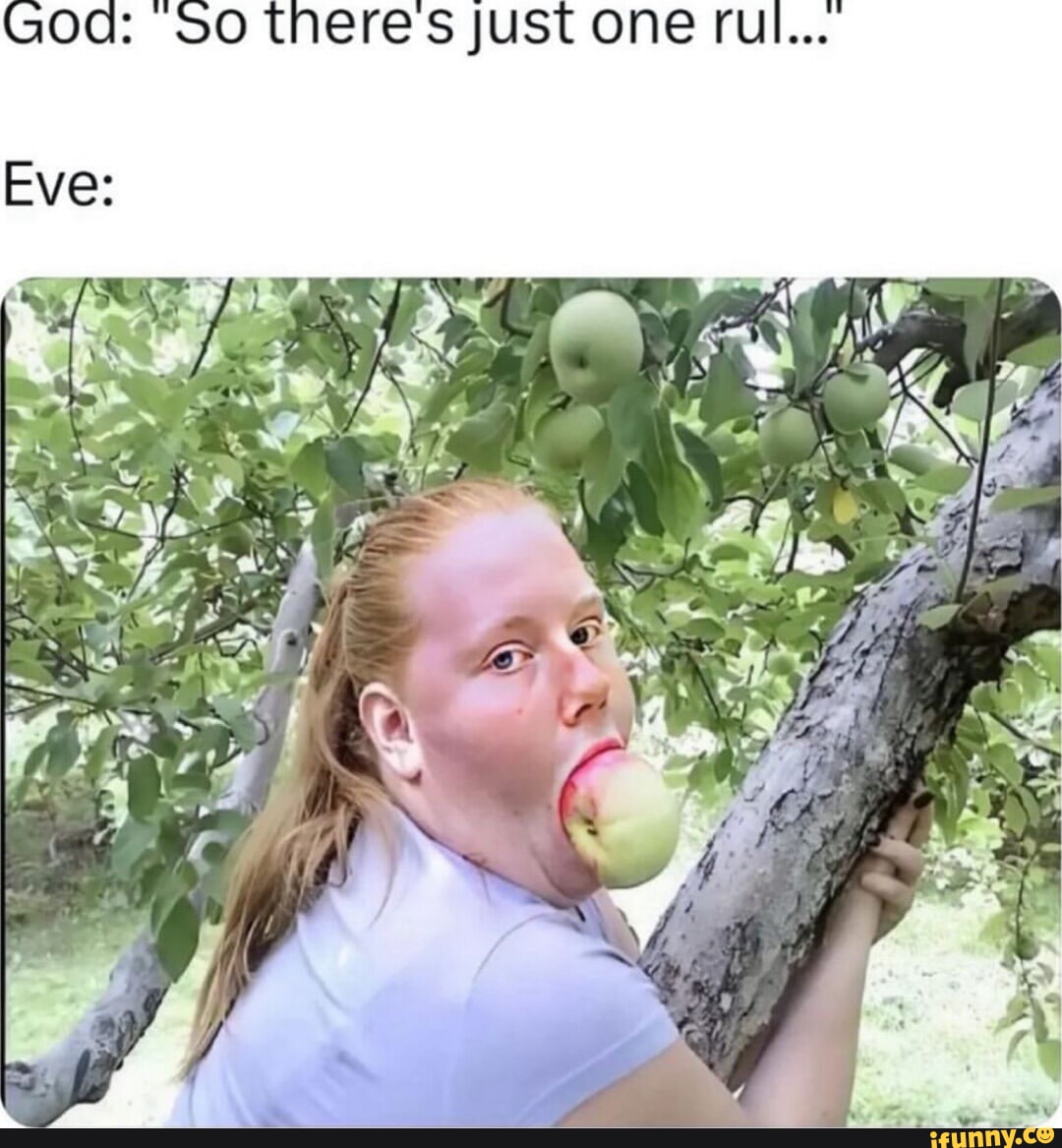 How the hell are sloths not extinct yet? righthandoftyr They aren't