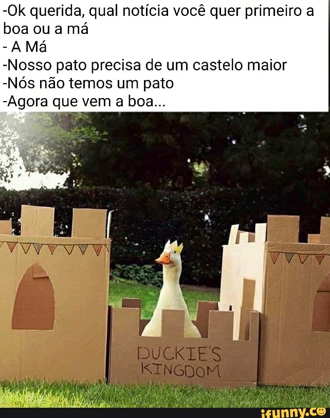 -Ok querida, qual notícia você quer primeiro a boa ou a má
- Má
-Nosso pato precisa de um castelo maior
-Nós não temos um pato
-Agora que vem a boa...