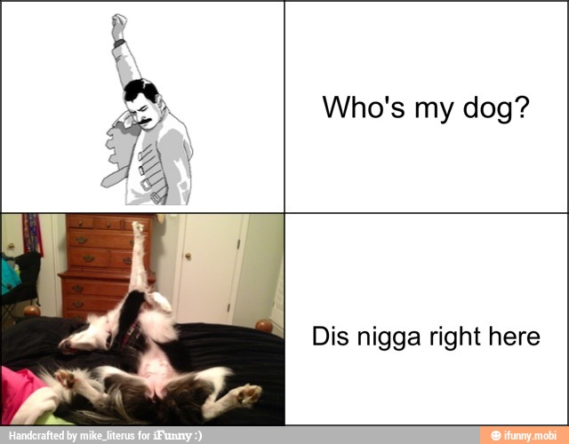 Who's my dog?
Dis nigga right here