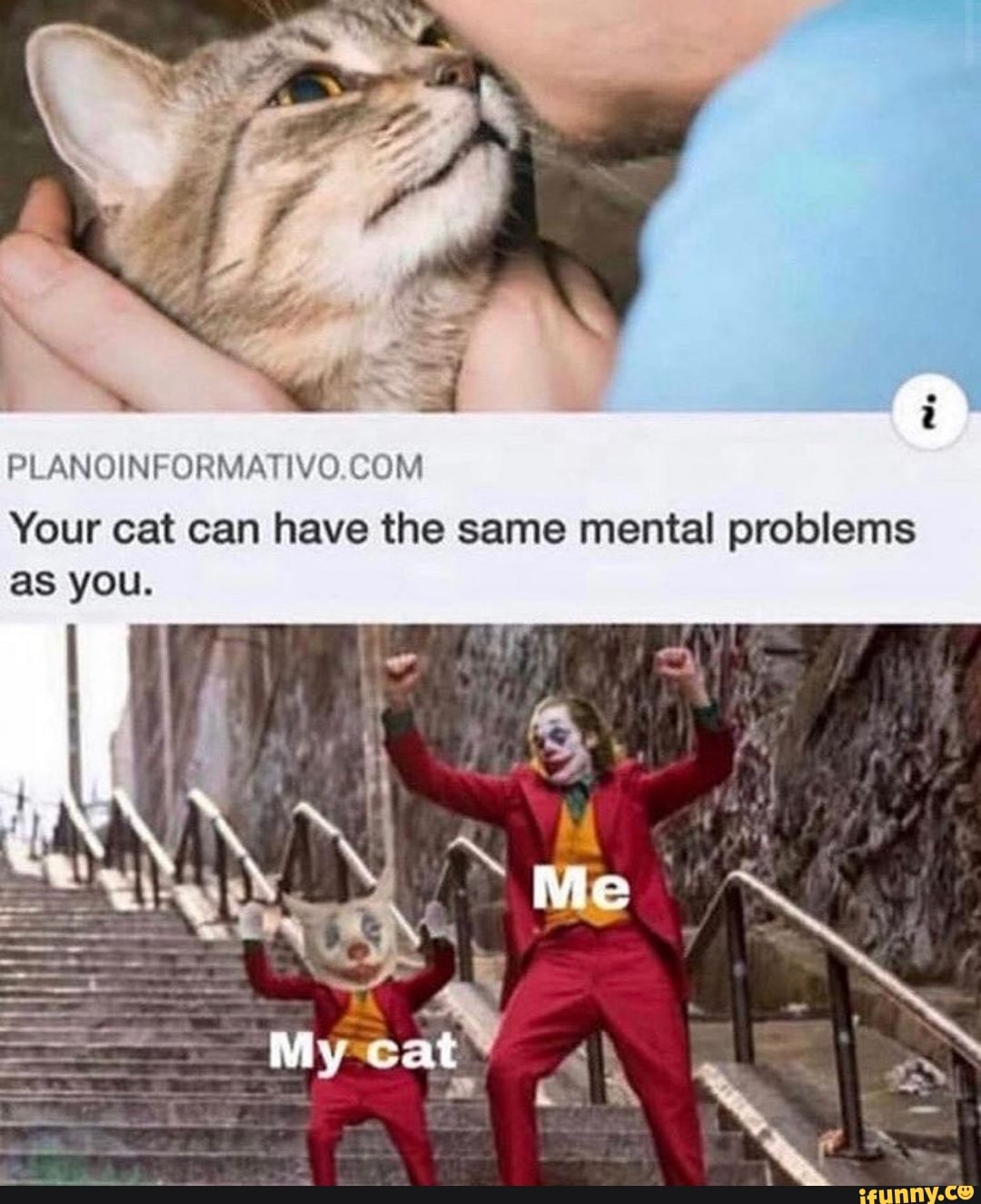 PLAN
Your cat can have the same mental problems as you.
ike
My