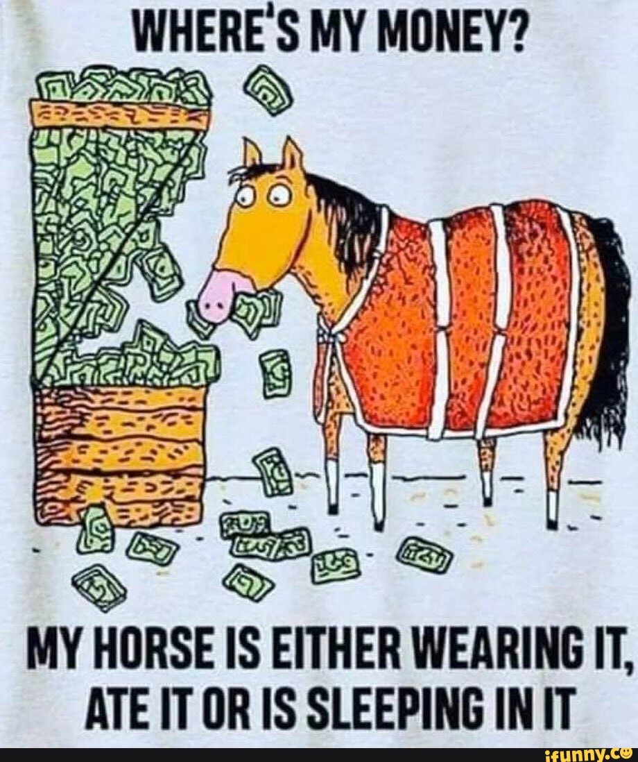 лошадь ест деньги. пьющая лошадь. красивая лошадь ест зерно. лошадь ест деньги. лошадь ест деньги.