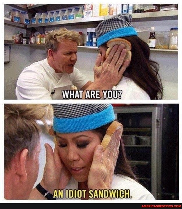 ANUIDIOT SANDWICH