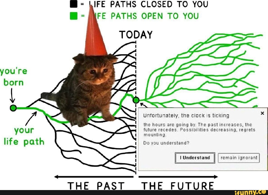 AH, OON'T WORRY, GOLEM. SHE'S A FRIENOLY CREEPER. AT LEAST SHE TRIES