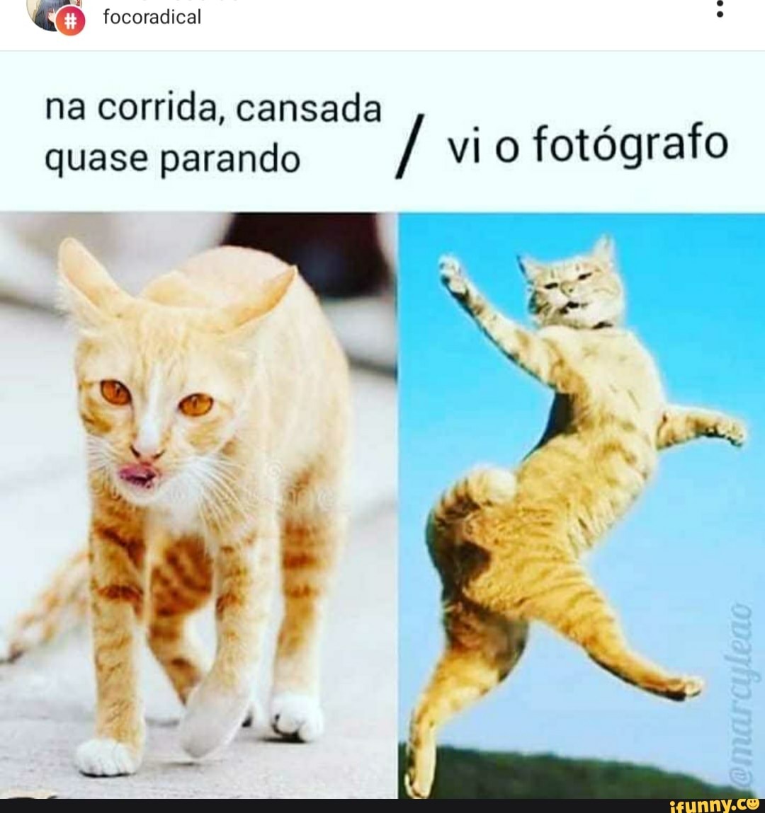 ão focoradical
na corrida, cansada quase parando JÁ vi o fotógrafo