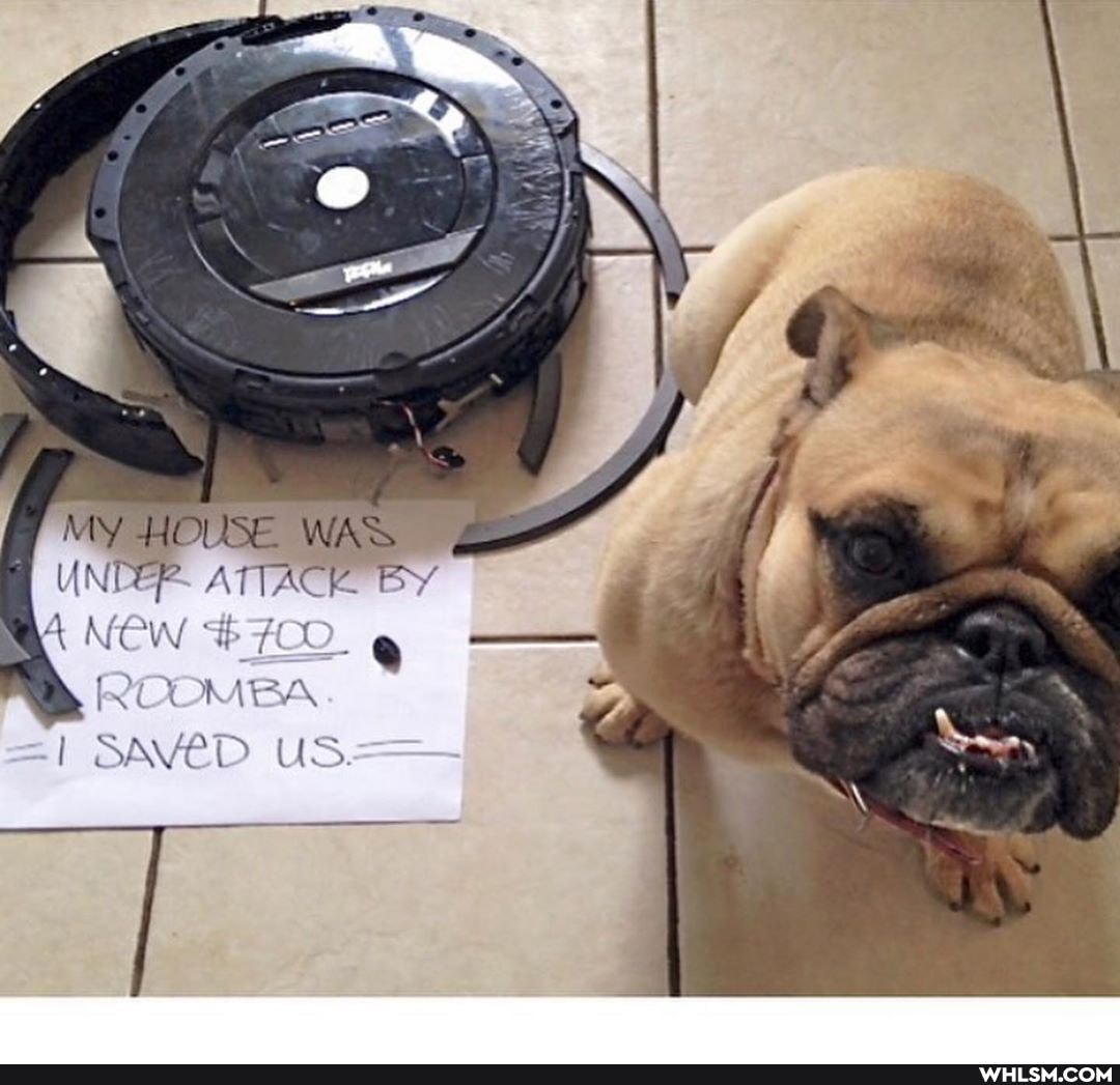 AS
HOUSE WAS
UNDER ATTACK. BY ROOMBA SAVED US.