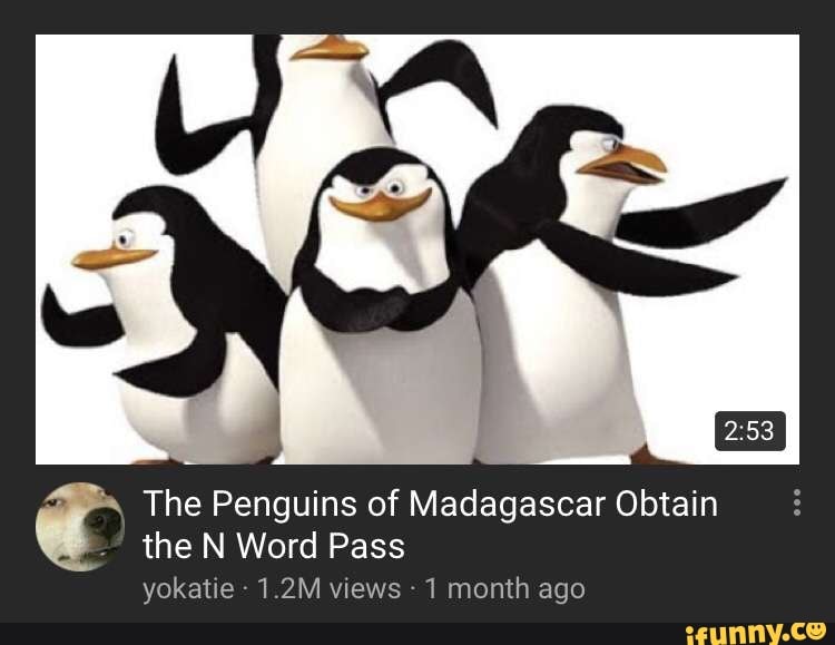 The N Word Pass Vokatie 1 2m Views 1 Month Ace 5 The Penguins Of Madagascar Obtain Ifunny