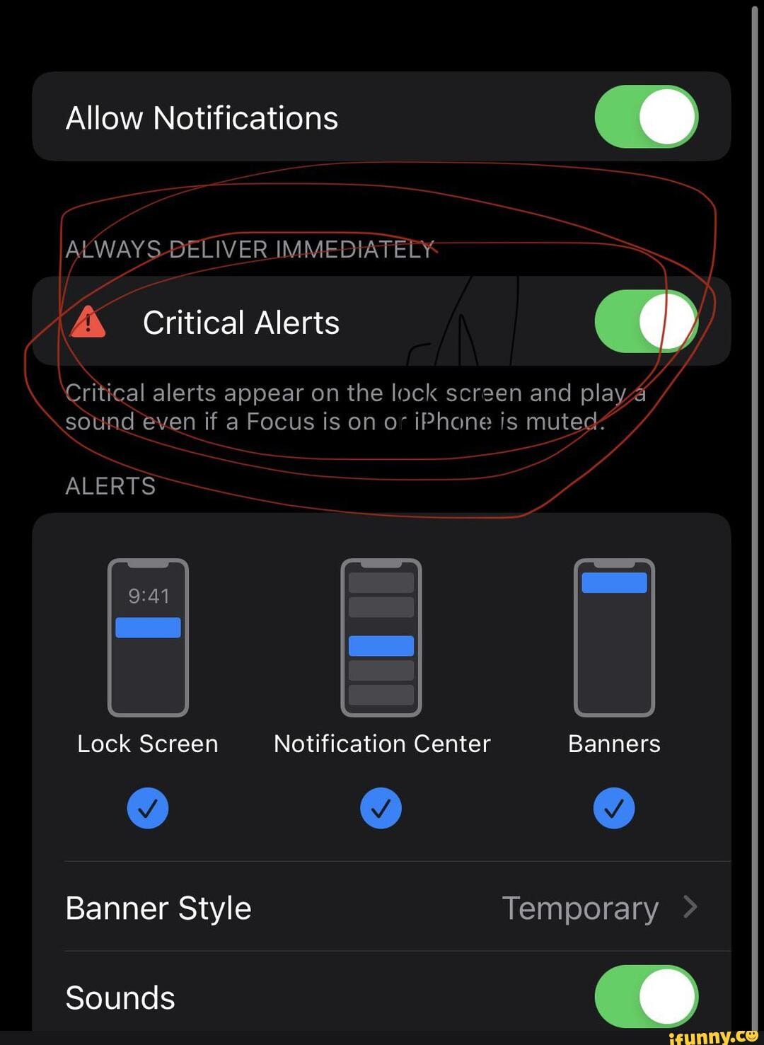 Allow Notifications CC) ALWAYS DELIVER IMMEDIATELY Critical Alerts