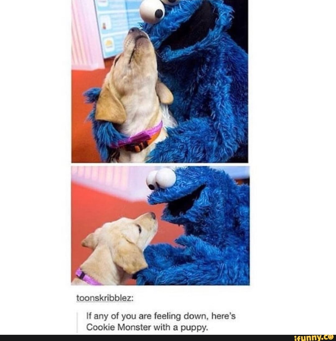 If any of you are feeling down, here's
Cookie Monster with a puppy.