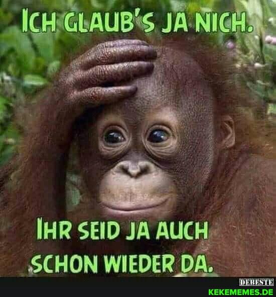 IHR: SEID JA
SCHON WIEDER D DA.