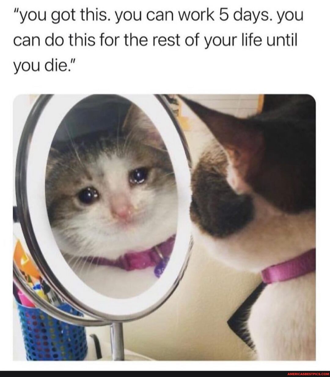 "you got this. you can work 5 days. you can do this for the rest of your life until you die."