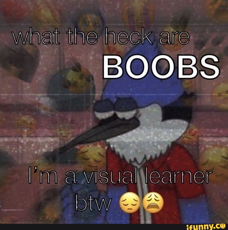 What the heck are BOOBS im a visual learner btw - iFunny