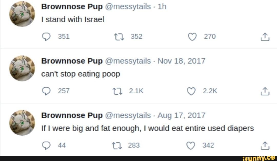 Brownnose Pup messyitails I stand with Israel 351 352 270 Brownnose