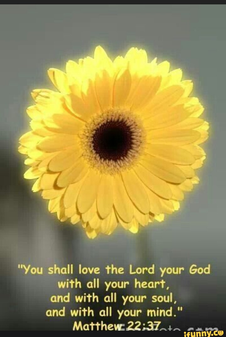You Shall Love The Lord Your God With All Your Heart And With All You Shall Love The Lord Your God With All Your Heart And With All