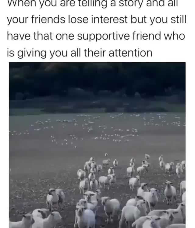 @memelif3_ on Instagram: “The best kind of friend” your friends lose ...