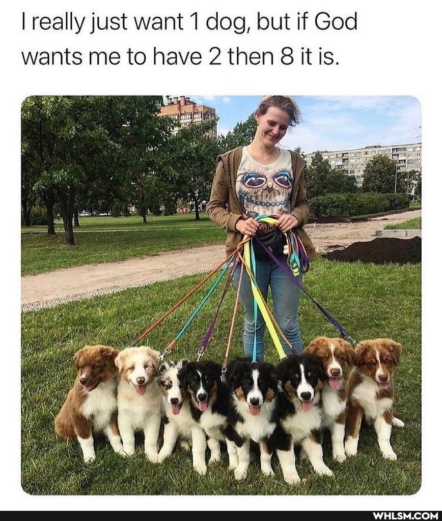 I really just want dog, but if God wants me to have 2 then & it is.