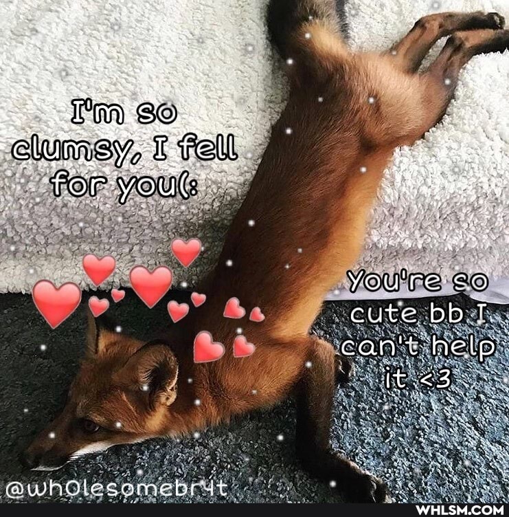 ave
rm Whit Whit SO
lumey, Fell
youG
You're
cute bb
can't help