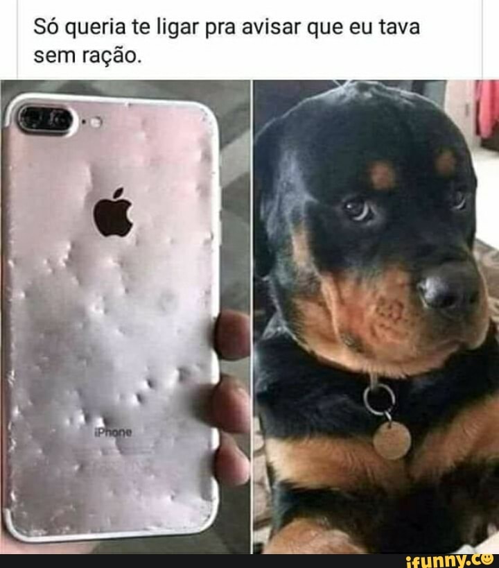 Só queria te ligar pra avisar que eu tava
sem ração.