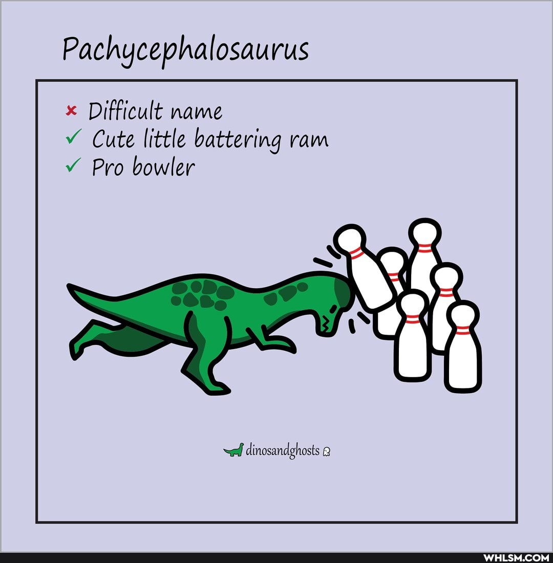 Pachycephalosaurus
Difficult name
Cute little battering ram
Pro bowler
dinosandghosts