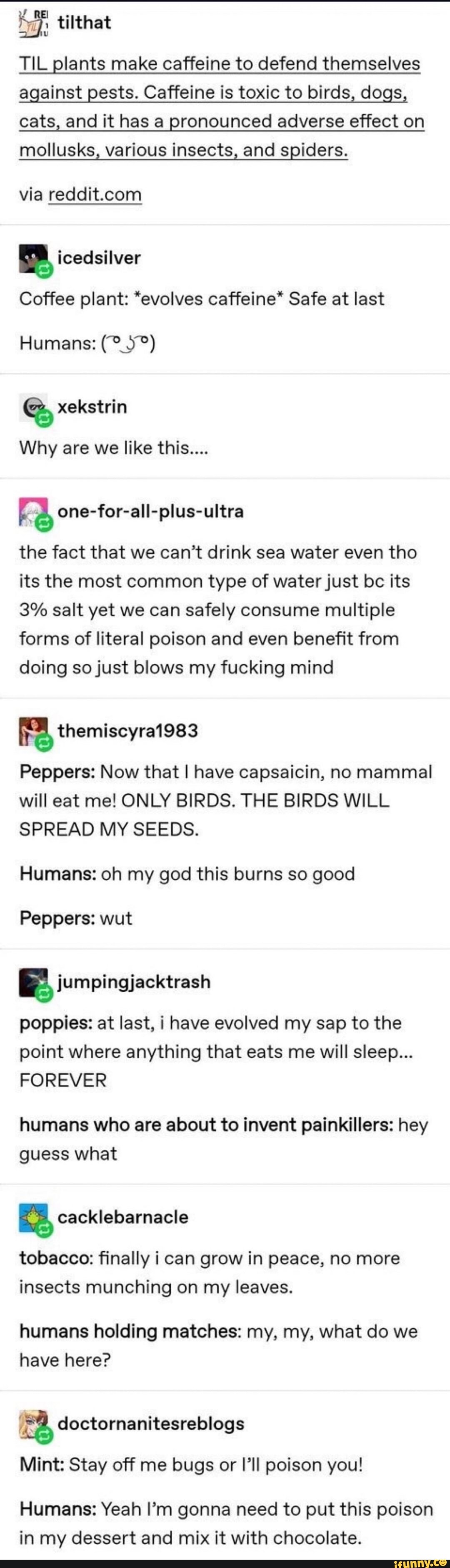 TIL plants make caffeine to defend themselves
against pests. Caffeine is toxic to birds, dogs
cats, and it has a pronounced adverse effect on
mollusks, various insects, and spiders.
via reddit.com
Coffee plant: *evolves caffeine* Safe at last
E one-for-all-plus-ultra
the fact that we can't drink sea water even tho
its the most common type of water just bc ¡ts
3% salt yet we can safely consume multiple
forms of literal poison and even benefit from
doing so just blows my fucking mind
Peppers: Now that I have capsaicin, no mammal
will eat me! ONLY BIRDS. THE BIRDS WILL
SPREAD MY SEEDS.
Humans: oh my god this burns so good