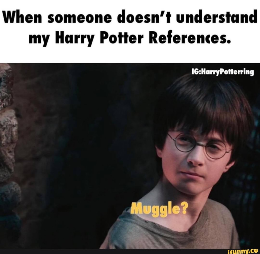 When someone doesn't understand my Harry Potter References. - iFunny