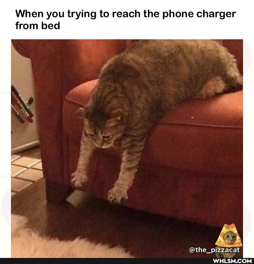 When you trying to reach the phone charger from bed
@the nizzacat