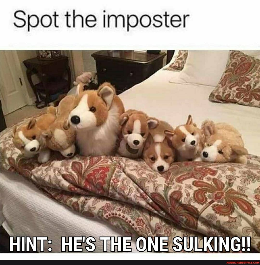 Spot the
HINT: HE'S THE ONE SULKING!!