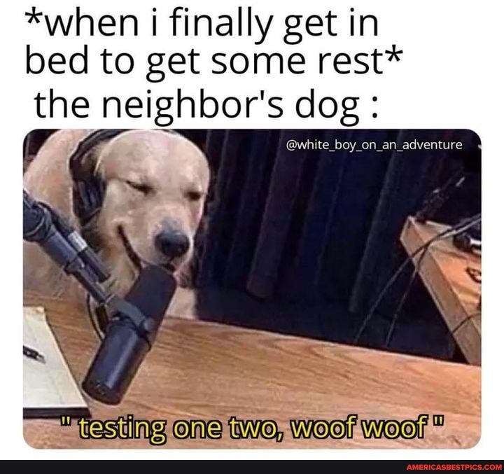*when finally get in bed to get some rest*
the neighbor's dog :
@white boy on an sdventure
One two, Woof woor"