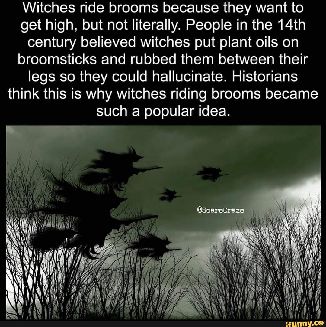 Witches ride brooms because they want to get high, but not literally ...