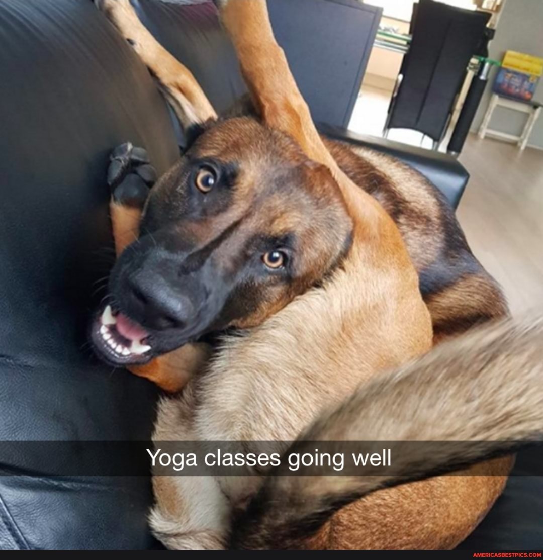 Yoga classes going well