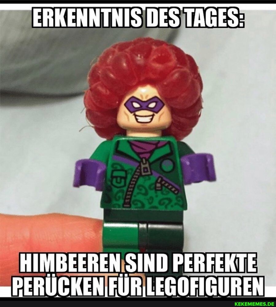 ERKENNTNIS DES TAGES:
HIMBEEREN SIND PERFEKTE DIE I DE