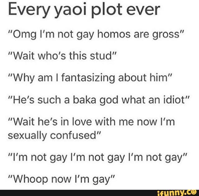 every-yaoi-plot-ever-omg-i-m-not-gay-homes-are-gross-wait-who-s-this