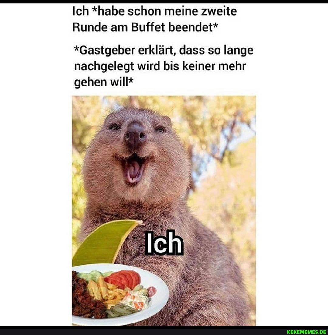 Ich *habe schon meine zweite
Runde am Buffet beendet*
*Gastgeber erklärt, dass so lange
nachgelegt wird bis keiner mehr gehen will*