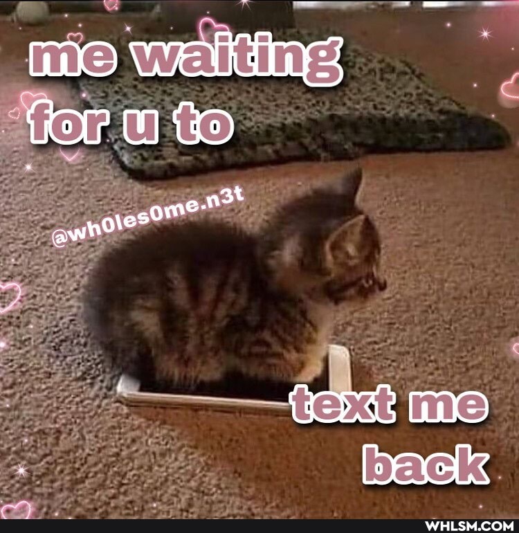 es
me
back