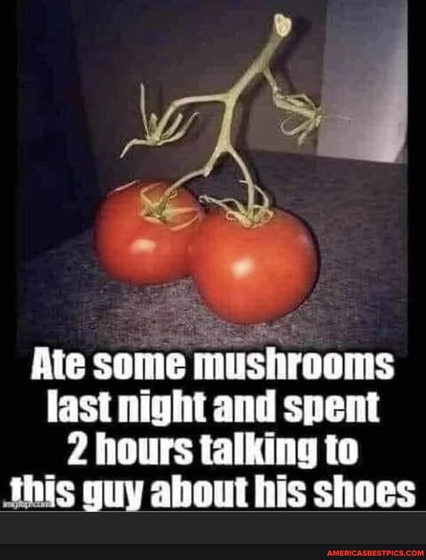 Ate some mushrooms last night and spent
2 hours talking to
Shis guy about his shoes