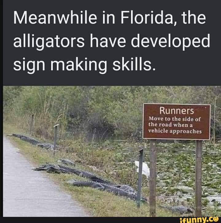 Meanwhile In Florida, The Alligators Have Developed Sign Making Skills 