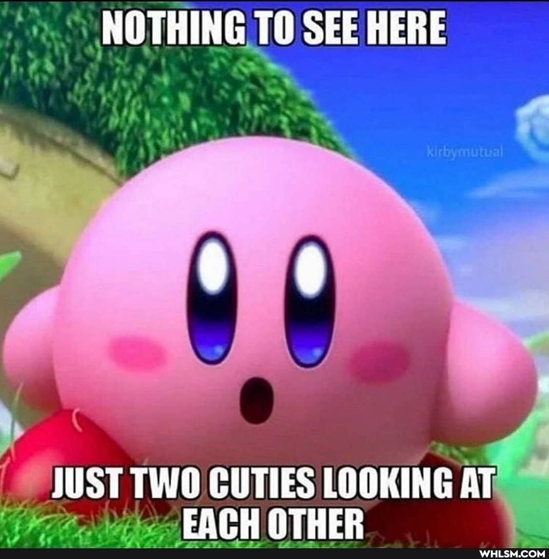 NOTHING TO SEE HERE
JUST TWO CUTIES LOOKING AT EACH OTHER