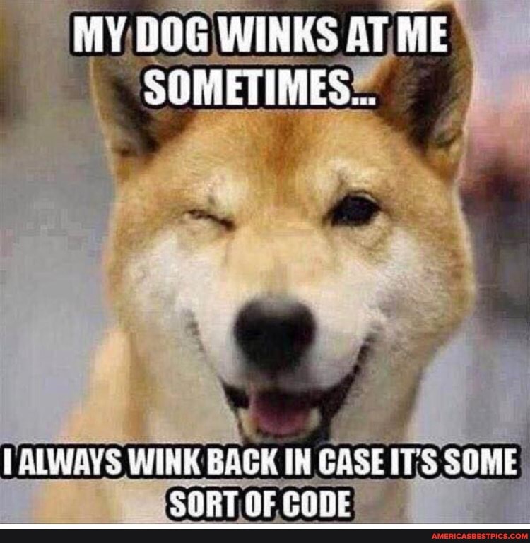 WINKS AT ME
SOMETIMES...
ALWAYS WINK BACK IN CASE IT'S SOME SORT OF CODE