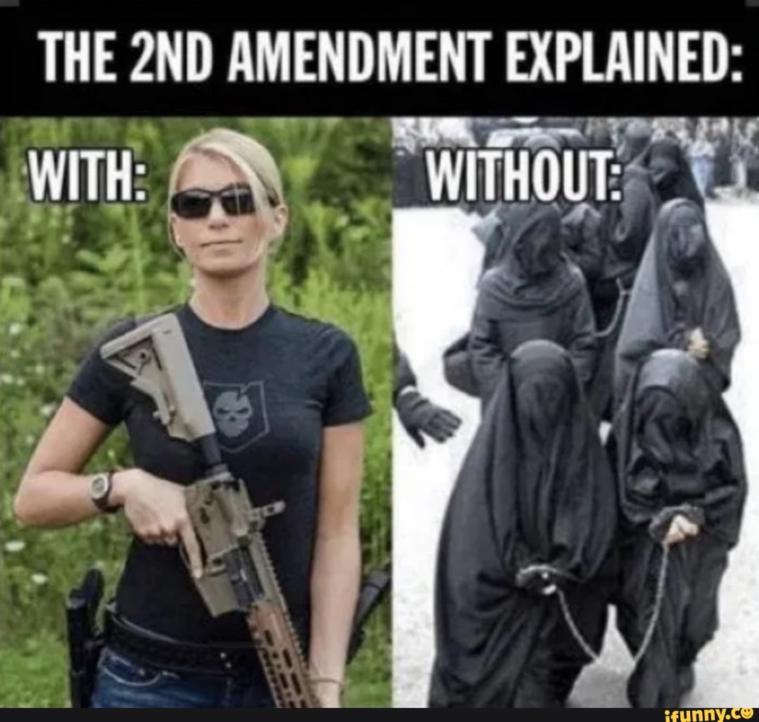 THE AMER DBIENT EXPLAINED:
WiT. {Th WUT: