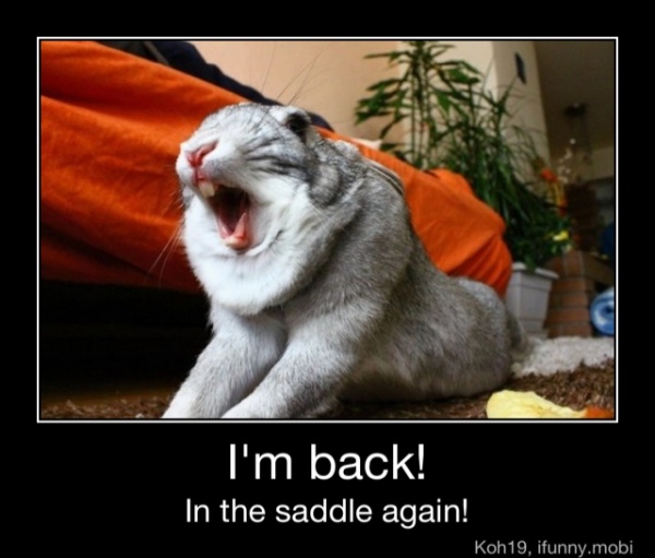 In The Saddle Again I M Back In The Saddle Again Ifunny