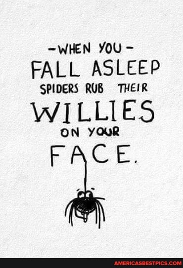 -WHEN YOU FALL ASLEEP
SPIDERS RUB THEIR
WILLIES
ON YOUR
